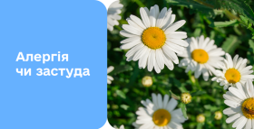 Картинка - Алергія чи застуда? 5 ознак та швидка діагностика в Діла