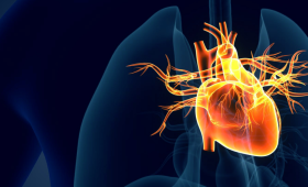 Картинка - Новий стандарт NT-proBNP