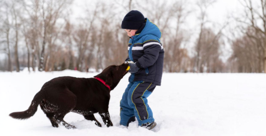 Фото - Токсокароз у взрослых и детей