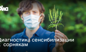 Картинка - Аллергия на амброзию и сорняки: современная диагностика ALEX² и персонализированное лечение