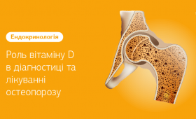 Картинка - Роль витамина D в диагностике и лечении остеопороза