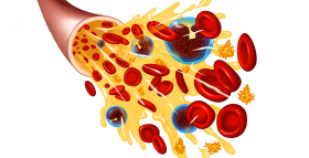 Картинка - Кров людини