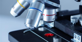 Картинка - Гістологія та гістологічні дослідження