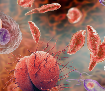 «ІПСШ: фокус на N.gonorrhoeae та M.genitalium. Діагностичні інновації для ефективного лікування»