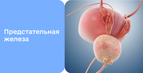 Картинка - Все о предстательной железе — «втором сердце» мужчины