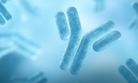 Картинка - ALEX² та підхід до полісенсибілізації