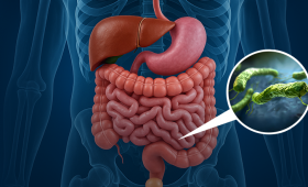Картинка - Лечение и диагностика инфекции Helicobacter pylori у пациентов с ишемической болезнью сердца