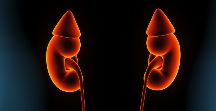 Фото - О чём говорит белок в моче