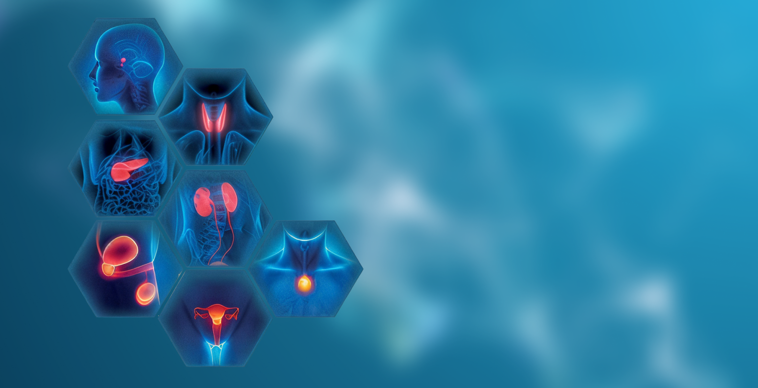 Фото - АКТУАЛЬНІ ПИТАННЯ ЕНДОКРИНОЛОГІЇ ТА ЕНДОКРИННОЇ ХІРУРГІЇ: ОГЛЯД НАУКОВО-ПРАКТИЧНОЇ КОНФЕРЕНЦІЇ