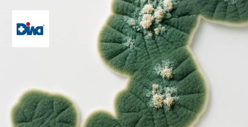 Фото - Аллергия на плесневые грибы и дрожжи: клиническое значение и диагностические возможности ALEX²