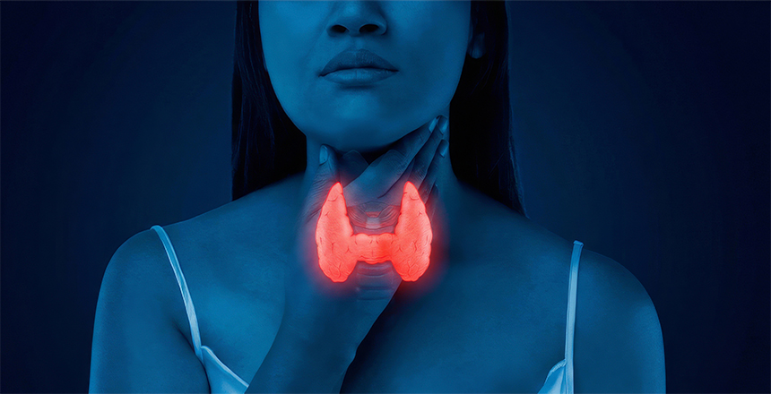 Фото - Исследование свободных и общих фракций тиреоидных гормонов, применение препаратов Селена – актуальные рекомендации медицинских руководств