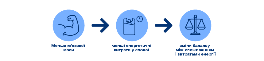 інфографіка м'язів